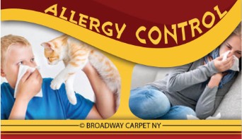 Allergy Control - Greenwich village 10003