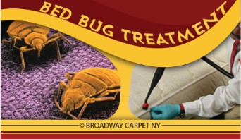 Bed Bug Treatment - Astor row 10037
