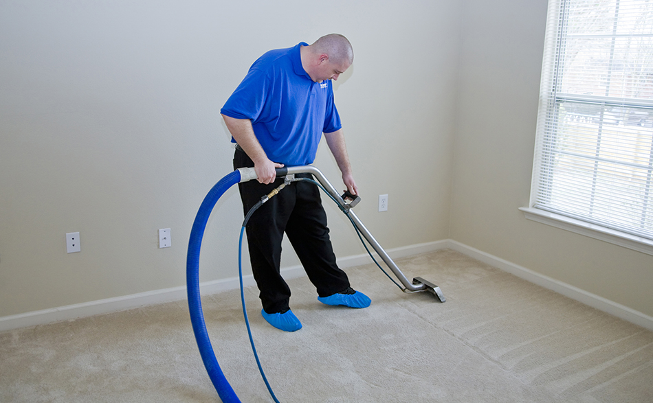 carpet cleaning, new york city carpet cleaning, nyc carpet cleaning, carpet cleaning services,carpet cleaning tendencies, tendencies of carpet cleaning in new york