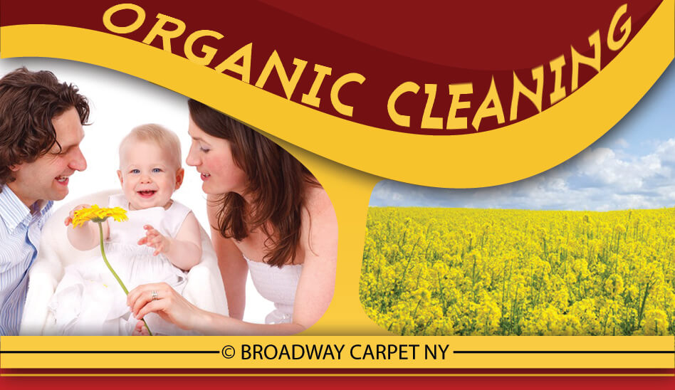 Organic Cleaning